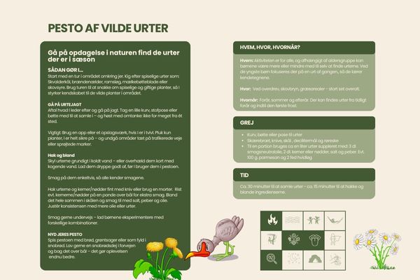 Pesto af vilde urter